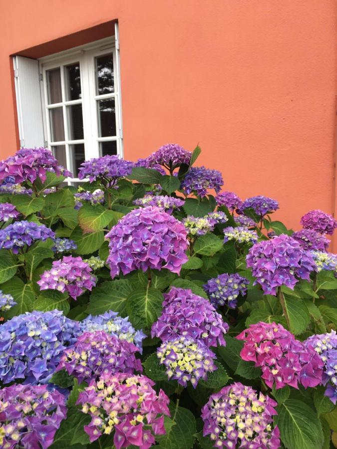 Hotel La Belle Etoile Thouaré-sur-Loire Екстериор снимка